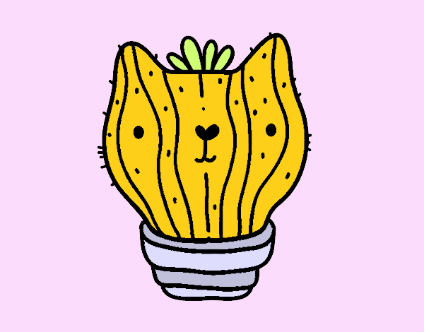 Cactus gato