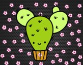 Cactus nopal