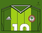 Camiseta del mundial de fútbol 2014 de Nigeria