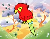 Guacamayo