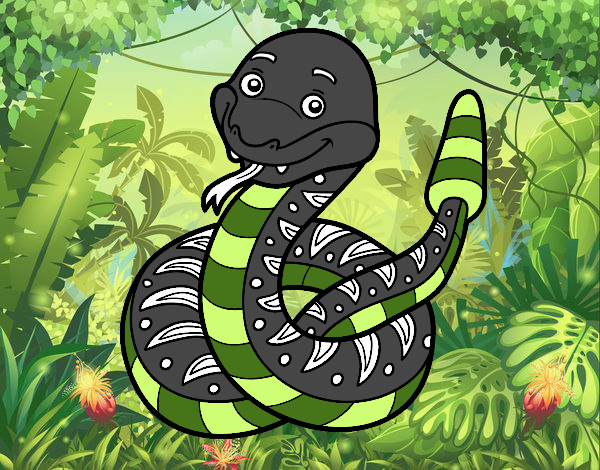 Una serpiente de cascabel