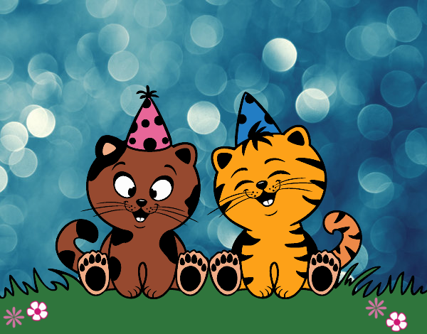 Gatos de cumpleaños