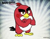 Red de Angry Birds