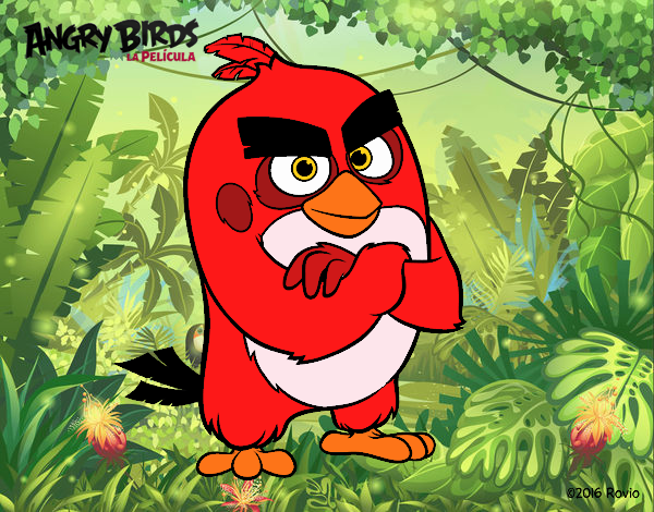 Red de Angry Birds