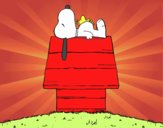 Snoopy durmiendo