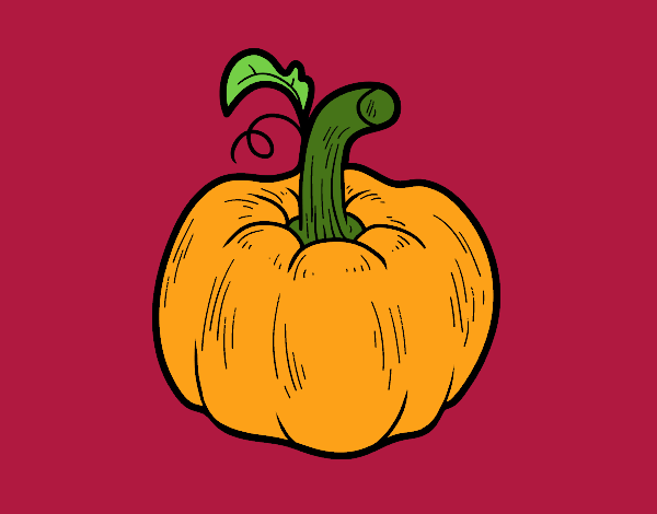 Una calabaza cucurbita