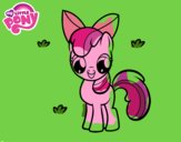 Apple Bloom