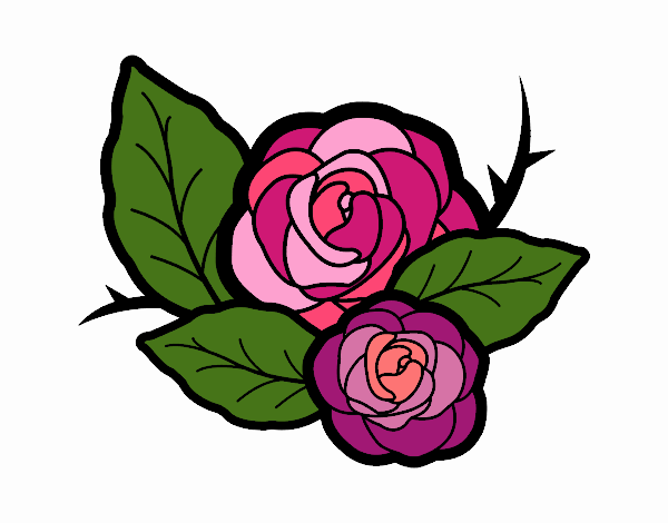 Dos rosas