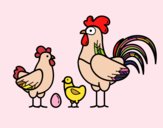 Familia gallina