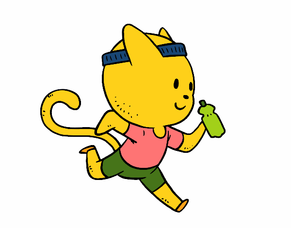 Gato runner