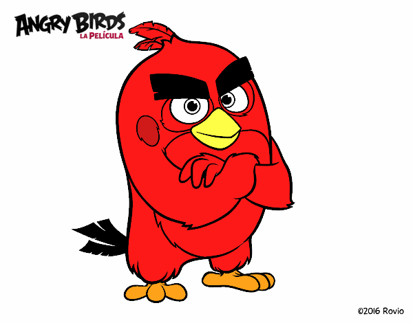 Red de Angry Birds