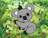 Un Koala