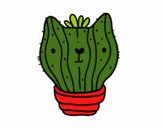 Cactus gato