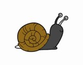 El caracol