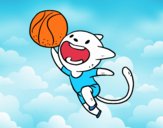 Gato jugando a baloncesto