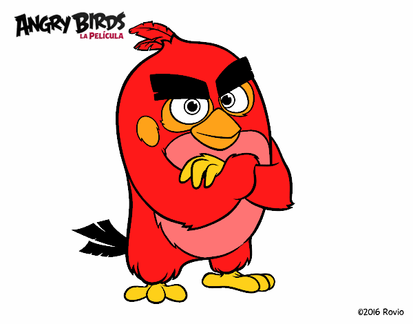 Red de Angry Birds