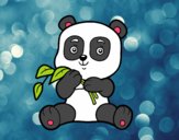 Un oso panda