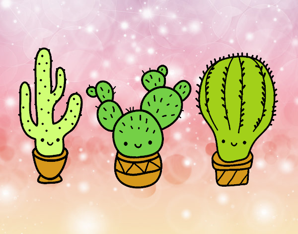 3 mini cactus