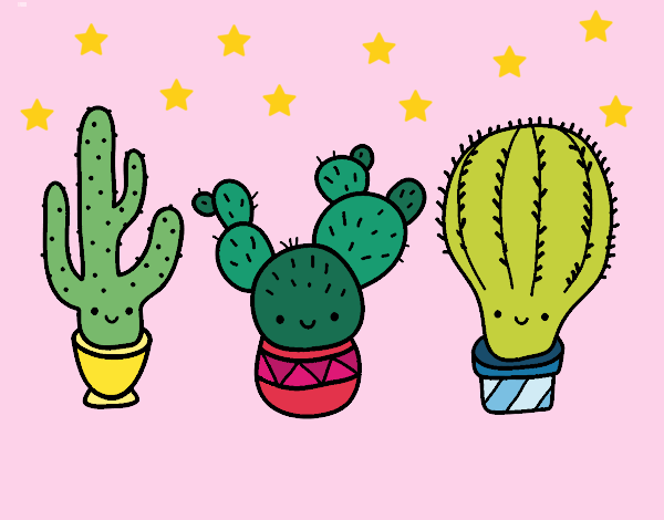 3 mini cactus