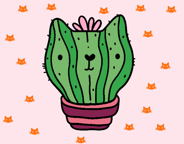 Cactus gato