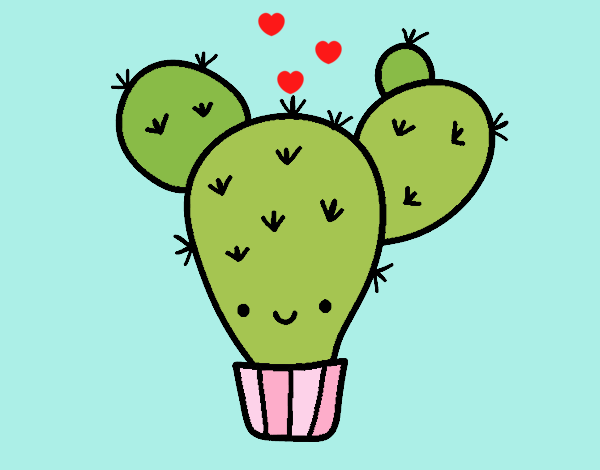 Cactus nopal