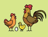 Familia gallina