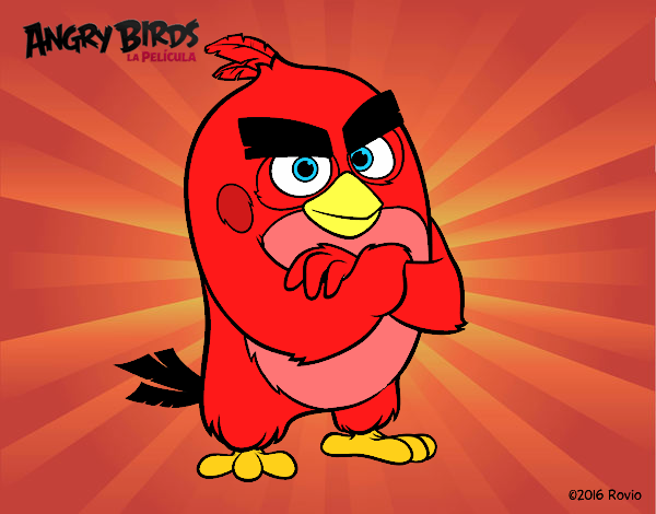 Red de Angry Birds