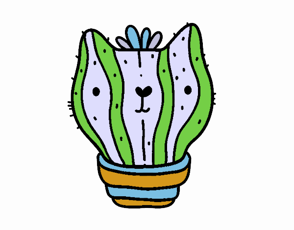 Cactus gato