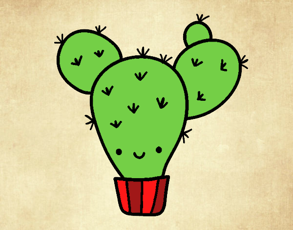 Cactus nopal