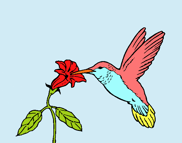 Colibrí y una flor