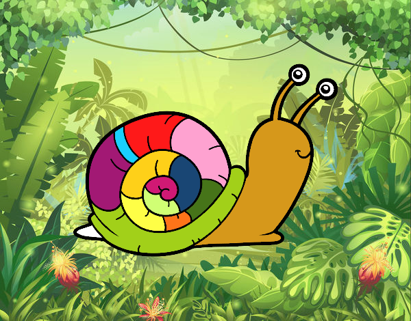 El caracol