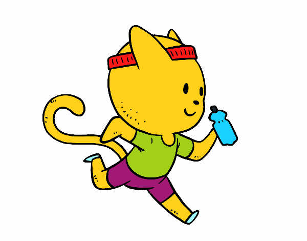 Gato runner