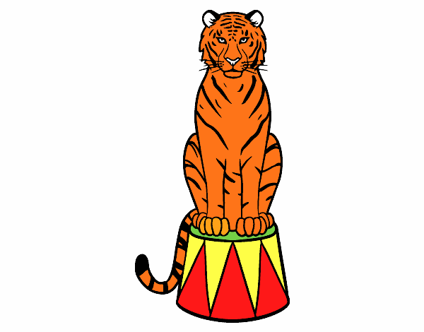 Tigre de circo