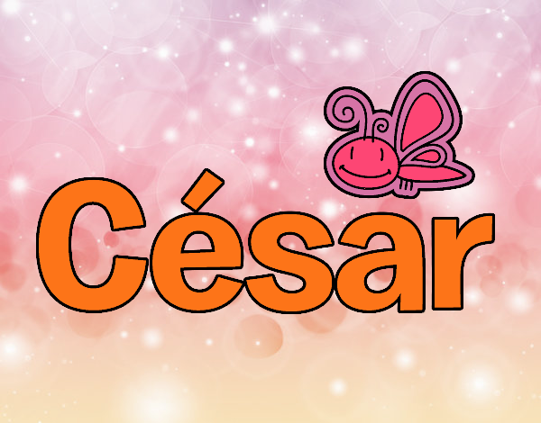 César