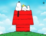 Snoopy durmiendo