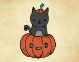 Un gatito de Halloween