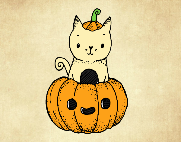 Un gatito de Halloween