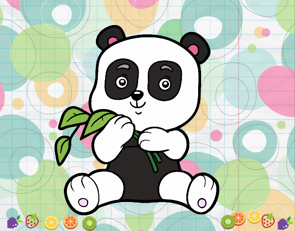 Un oso panda