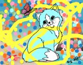 Gatito y mariposa