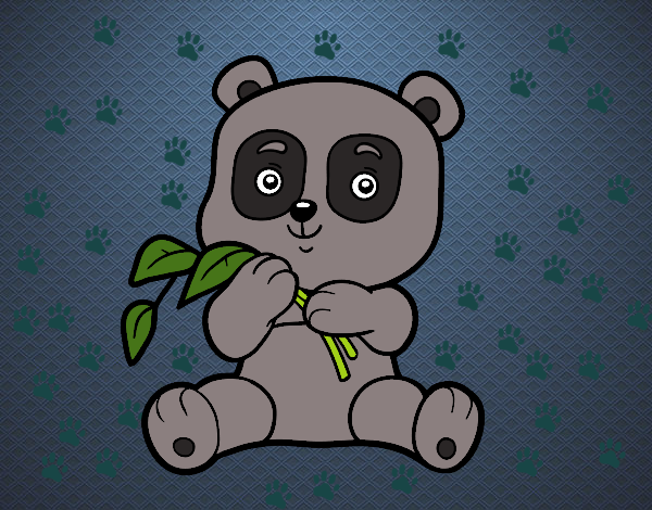 Un oso panda