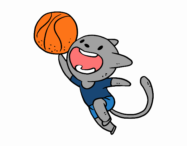 Gato jugando a baloncesto