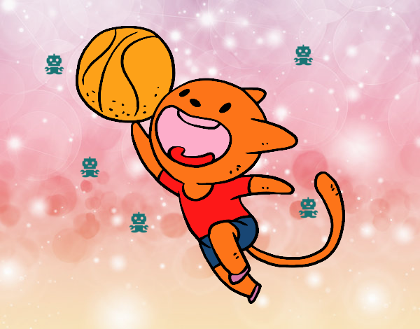 Gato jugando a baloncesto