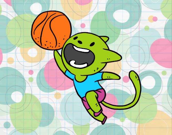 Gato jugando a baloncesto