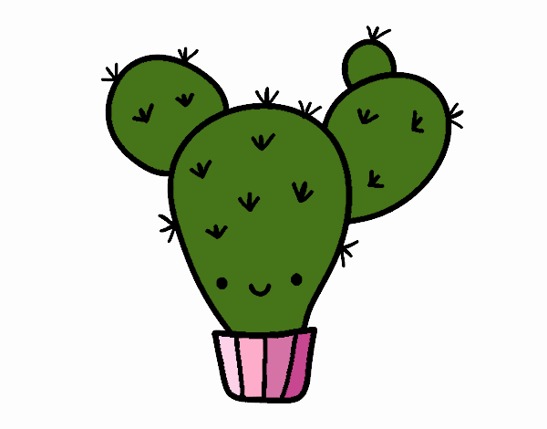 Cactus nopal