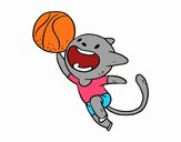 Gato jugando a baloncesto