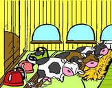 Vacas en el establo