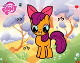 Apple Bloom