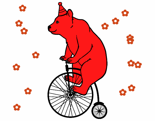 Oso en bicicleta