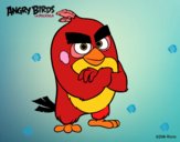 Red de Angry Birds