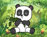 Un oso panda